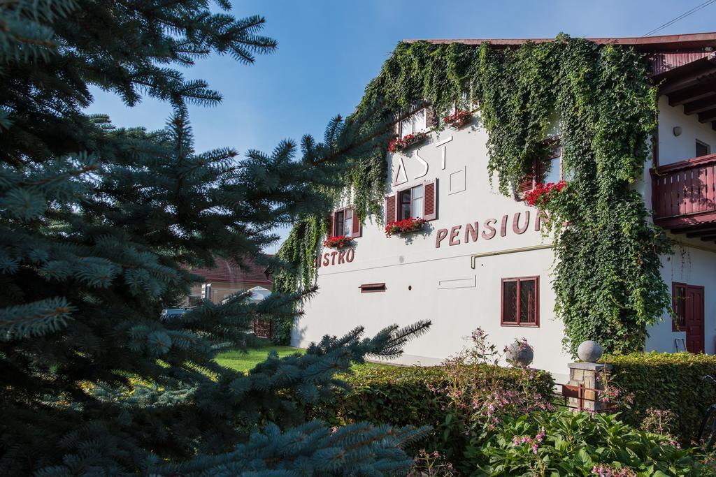 Pension Hotel Fast Radauti Exterior photo
